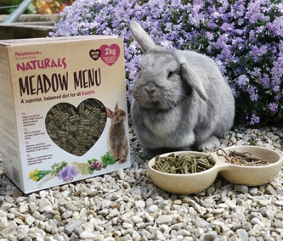 Own-brands and brand partnerships