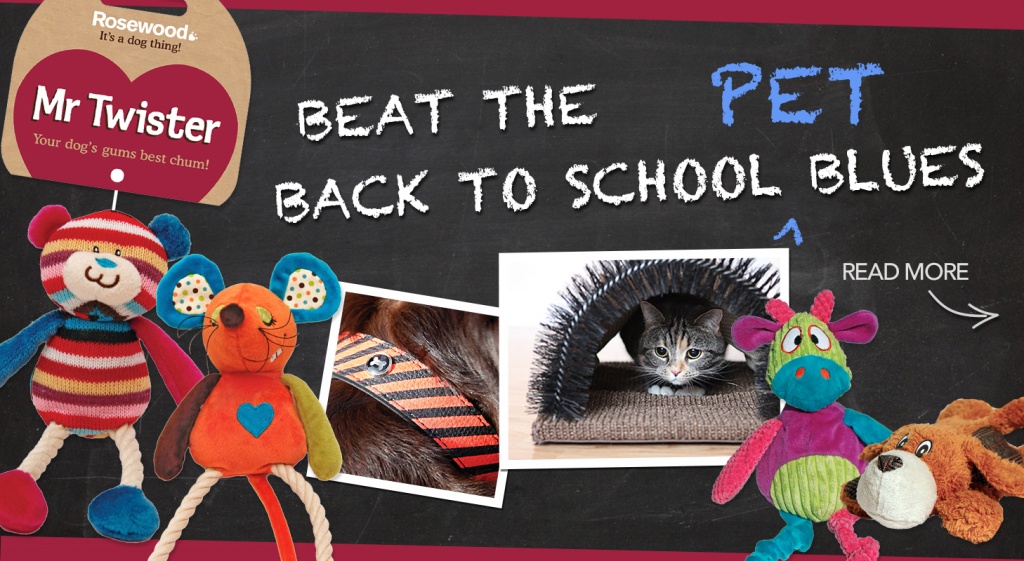 Back to school blues...