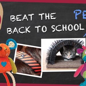 Back to school blues...