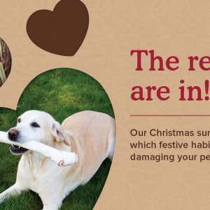 What's on the Menu this Christmas? 