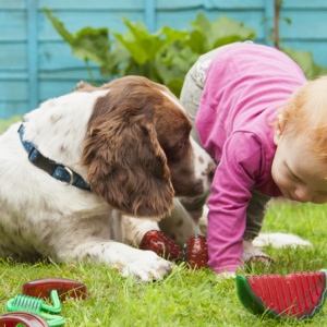 Guest Blog: Pets and Children