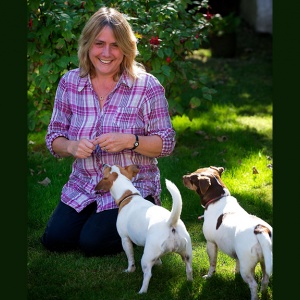 How to ease your pets out of lockdown 